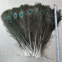 Plumes de paon naturelles de haute qualité en gros, 25-30 cm, pour la décoration de scène, le carnaval, les loisirs créatifs et les ornements de vases
