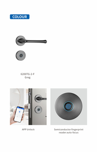 HUNE UL Serrure de porte intelligente sans clé <span class=keywords><strong>électronique</strong></span> TTlock Poignée d'empreintes digitales Push Pull Serrure de porte numérique en alliage d'aluminium européen - Product Image 4