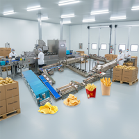 Nieuwe KAYA Automatische Aardappel Frietjes/Groente/Fruit Chips Productielijn Friteuse 100-1000kg/u Capaciteit Snackmachine