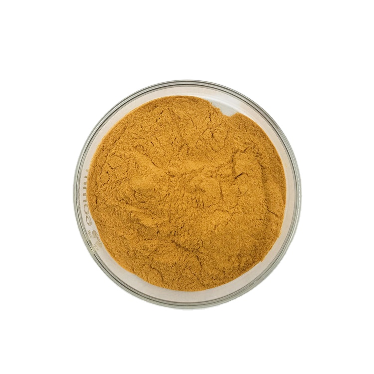 Wholesale Bulk Chastetree Fruit Extract Fructus Viticis Extract