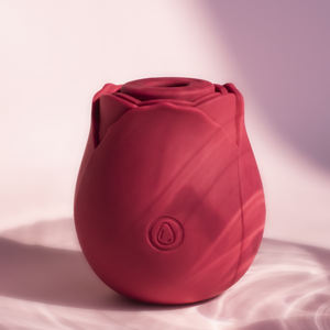 Vibrateur miniature électrique rose à succion très vendu, 10 fréquences, succion, léchage, masturbateur pour femmes, jouet sexuel pour adultes étanche - Product Image 2