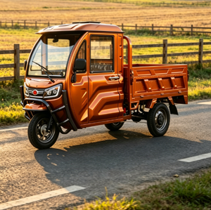 Tricycle <span class=keywords><strong>de</strong></span> <span class=keywords><strong>transport</strong></span> agricole et d'élevage certifié EEC COC CE, 1500w électrique, consommation <span class=keywords><strong>de</strong></span> carburant nulle, EEC / COC / L2e-U - Product Image 3
