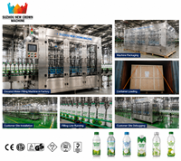 Machine de remplissage automatique personnalisée pour eau de coco, remplisseuse de boissons en bouteille PET, système de remplissage haute précision