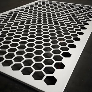Nhà Máy Tùy Chỉnh Hình Dạng Lỗ Kim Loại Đục Lỗ Lưới Tấm Đục Lỗ Lỗ Lưới - Product Image 3