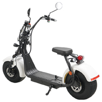 Fabrika doğrudan EEC COC Moped Monopattino Patinete Electrico itme skuter elektrikli motosiklet Citycoco Scooter C01A