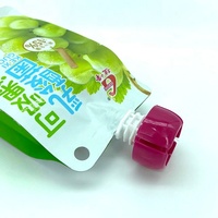 Sachet réutilisable de 250ml 350ml 500ml pour boissons gazeuses et jus Sachet liquide debout avec bec verseur Sac en plastique pour eau minérale Sachet De Jus