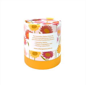 Kit da Giardino per Margherite Eterne, Kit di Coltivazione di Fiori a Lunga Durata, Regalo per Amanti del Giardinaggio, Adatto ai Principianti - Product Image 4