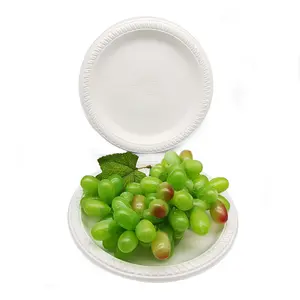 Plateau à Pizza rond biodégradable et incassable de 23CM, 500 pièces, assiette d'amidon de maïs jetable, assiette de 9 pouces