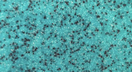 ESFP-05