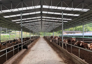 Nave Prefabricada de Acero de Diseño Moderno para Ganadería, Cobertizo de Bajo Costo para Ganado, Almacén de Acero para Vacas - Product Image 2