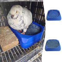 Boîte de nidification rectangulaire en plastique durable et légère pour pigeons de course – Conception simple pour l'élevage et le repos des oiseaux