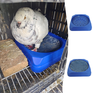 Thân thiện với môi Pigeon <span class=keywords><strong>Nest</strong></span> Bát nhựa <span class=keywords><strong>container</strong></span> <span class=keywords><strong>Box</strong></span> cho Racing Pigeon chăn nuôi chim Nguồn cung cấp phần còn lại đứng - Product Image 6