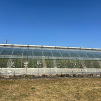 Serre agricole commerciale intelligente de grande taille à plusieurs travées, système hydroponique, bâche de couverture, largeur de baie de 4 m, galvanisation à chaud