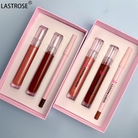 Kit de Lèvres Tube Transparent Vegan 3 en 1 Étanche Brillant Mat Brillant Hydratant Brillant Crémeux Brun Longue Durée Ensemble de Crayon à Lèvres