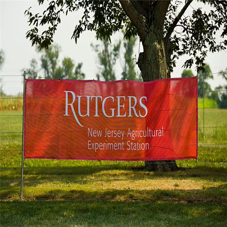 150g Polyeste Mesh banner