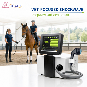 Appareil de thérapie par ondes de choc focalisées multifonctionnel FSWT, appareil de thérapie par ondes de choc douces focalisées pour la physiothérapie vétérinaire - Product Image 2