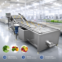 Hogedruk ultrasone groente- en fruitwasmachine met transportband