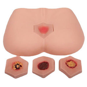 Cuidado Presión Dolor Úlcera Cuidado Modelo de enfermería para personas mayores Decubitus Dan Care - Product Image 4