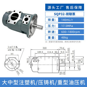Pompe à double palette Sonxing SQP42 236 ml R 17,5 MPa pour machine de moulage par injection, presse hydraulique, plieuse - Product Image 3