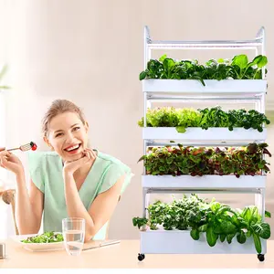 Kit Kotak Tanaman Mini Rumah, Sistem Penumbuh Tumbuhan dan Sayuran Lengkap Hidroponik Dalam Ruangan