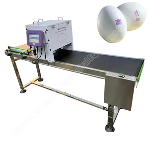 Impresora industrial para huevos Impresoras de código de inyección de tinta duraderas Máquina de impresión de tinta de prueba de huevo