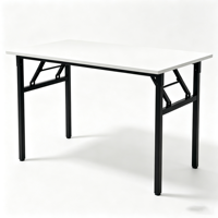 Table de massage pliable professionnelle en acier inoxydable, rectangulaire, pour salon de beauté, spa, bureau de travail