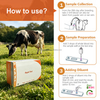 Kit de test de grossesse bovine rapide PAG en une étape, kit de détection de grossesse du bétail à l'or colloïdal, utilisation vétérinaire pour les vaches laitières et les bovins de boucherie