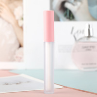 Tube de brillant à lèvres vide de qualité avec baguettes Tubes de brillant à lèvres clairs avec Blush 2ml Tubes de brillant à lèvres clés