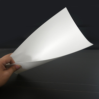 Feuille blanche en PP XUECHENG pour isolation de circuits imprimés, antistatique, résistante aux rayures, haute résistance diélectrique, protection de processus