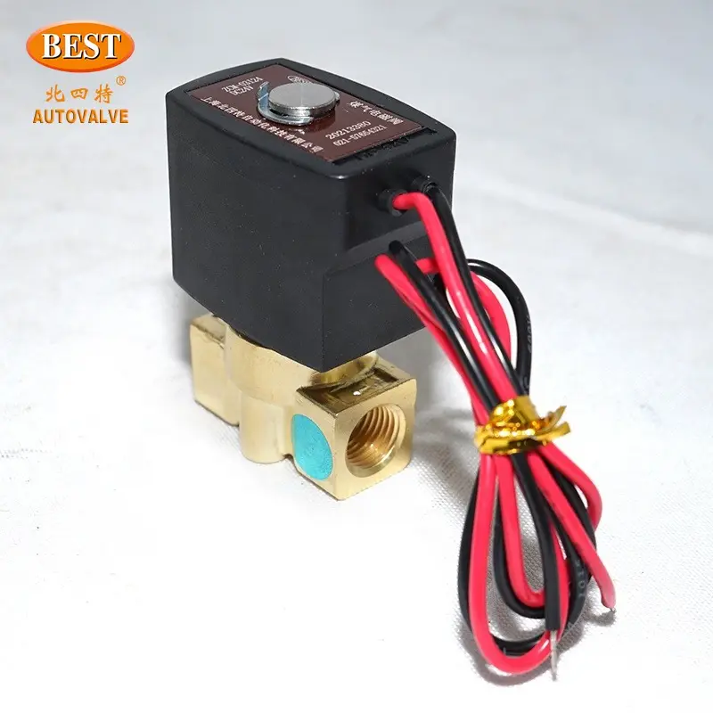 ZCM Elektrik Mematikan 2 Cara 1/2 - 1 Inci Diafragma 110V 220V 12V 24V Gas Batubara Kuningan Katup Solenoid