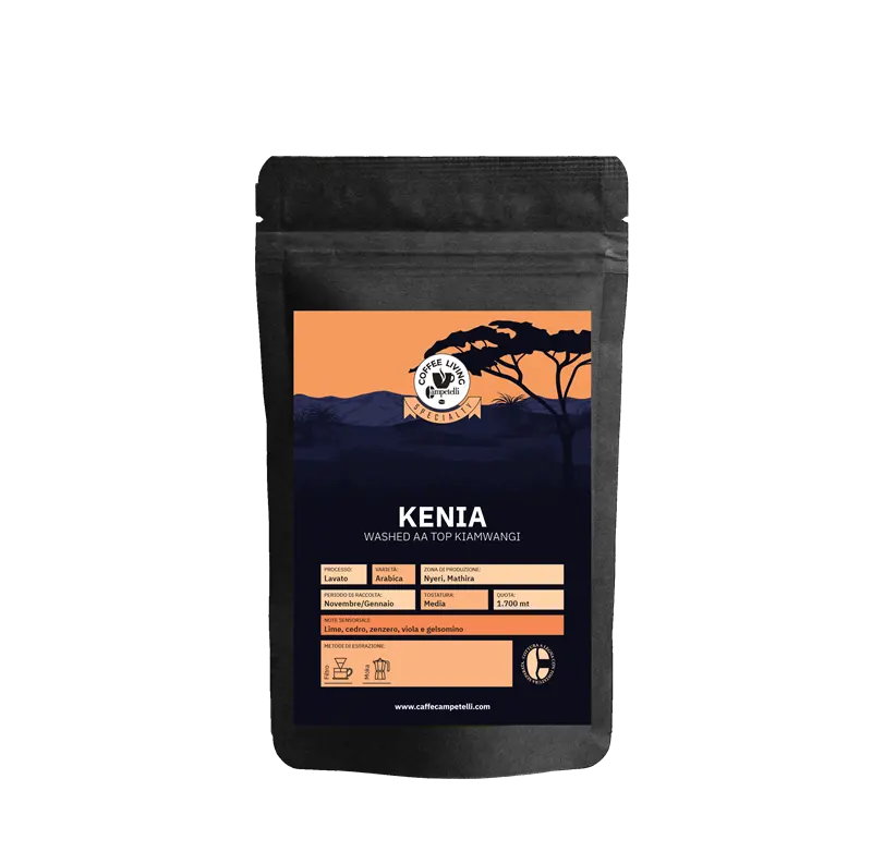 Prezzo competitivo all'ingrosso gusto dolce specialità Kenya chicco di caffè chicchi di caffè Arabica arrosto medio per caffetterie