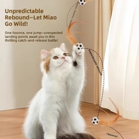 Ensemble de jouets pour chat en caoutchouc à motifs sportifs : ballon de football, ballon de basket, ballon de baseball, plume, jouet interactif rebondissant à lancer pour chats d'intérieur
