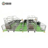 Lit de mise bas pour porcs Équipement d'élevage pour porcs Stylo de mise bas pour porcs à vendre Caisses de mise bas pour porcs