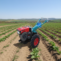 Mini-tracteur agricole diesel à prix abordable, tracteur à deux roues motrices, cultivateur rotatif, motoculteur