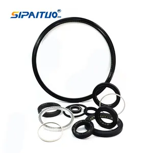 Piston Double Lip Oil Wear Resistant PTFE Spring Energized Seal With Slanted Coil Spring