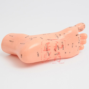 Modelo de Reflexología Podal Zh de 13 cm, Herramienta de Entrenamiento de Acupuntura Reutilizable de PVC - Product Image 4