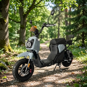 Nueva Bicicleta Urbana de 1000W con Cuadro de Acero, 7 Velocidades, Batería de Plomo-Ácido de 15AH, Alcance de 50km - Product Image 1