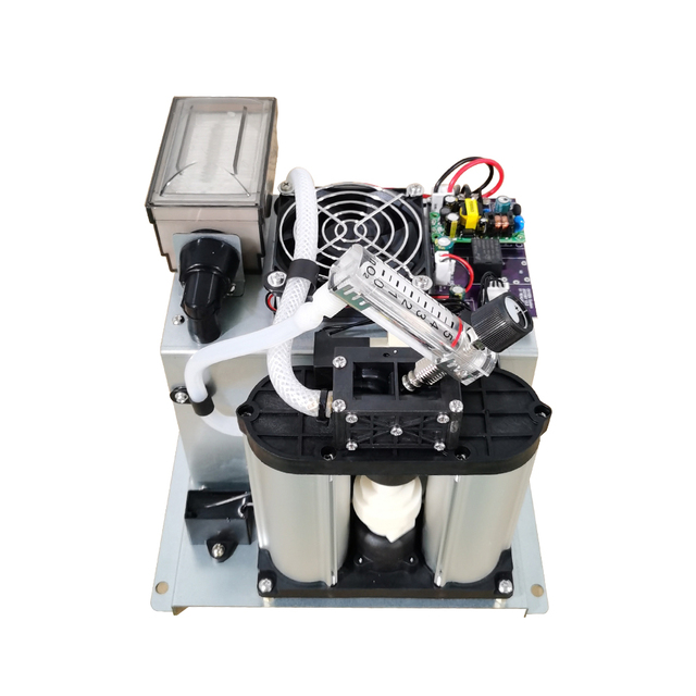 1 LPM Ozone Generator Oxygen Concentrator with psa High Efficient Molecular Sieve for Ozone Generator