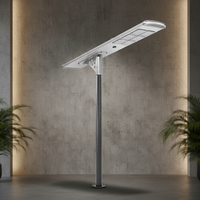 Lampe solaire de rue LED 120W, IP65 étanche, avec batterie LiFePO4, protection BMS, utilisation routière