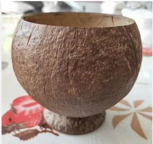 Maceta con Forma de Cáscara de Coco, Hecha a Mano, Ecológica, Natural, para Plantas de Interior, Decoración de Jardín, al por Mayor - Product Image 1