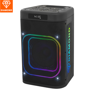 Haut-parleur Bluetooth portable 8 pouces pour la danse carrée, le DJ, le karaoké, le chant en extérieur, avec éclairage LED RGB et batterie - Product Image 4