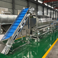 Volledig automatische productielijn voor diepvriesfrieten en groente-/fruitfriet, grote capaciteit aardappelchipsmachinegroep