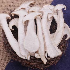 Yunnan-<span class=keywords><strong>Matsutake</strong></span> de Frozen de alta calidad, seta de trichocoma salvaje, precio bajo - Product Image 5