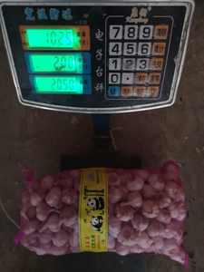 <span class=keywords><strong>Ail</strong></span> frais <span class=keywords><strong>de</strong></span> Chine en sac en filet <span class=keywords><strong>rose</strong></span>, <span class=keywords><strong>ail</strong></span> frais en vrac, <span class=keywords><strong>prix</strong></span> du marché <span class=keywords><strong>de</strong></span> <span class=keywords><strong>l</strong></span>'<span class=keywords><strong>ail</strong></span> blanc - Product Image 5