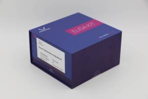 Chuột cebpa (<span class=keywords><strong>ccaat</strong></span>/Enhancer ràng buộc protein Alpha) Elisa Kit cho nghiên cứu sử dụng - Product Image 3