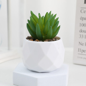 Plante succulente artificielle en pot carré ou rond, succulente réaliste, décoration de bureau créative et écologique, marque OEM, plante d'intérieur - Product Image 2