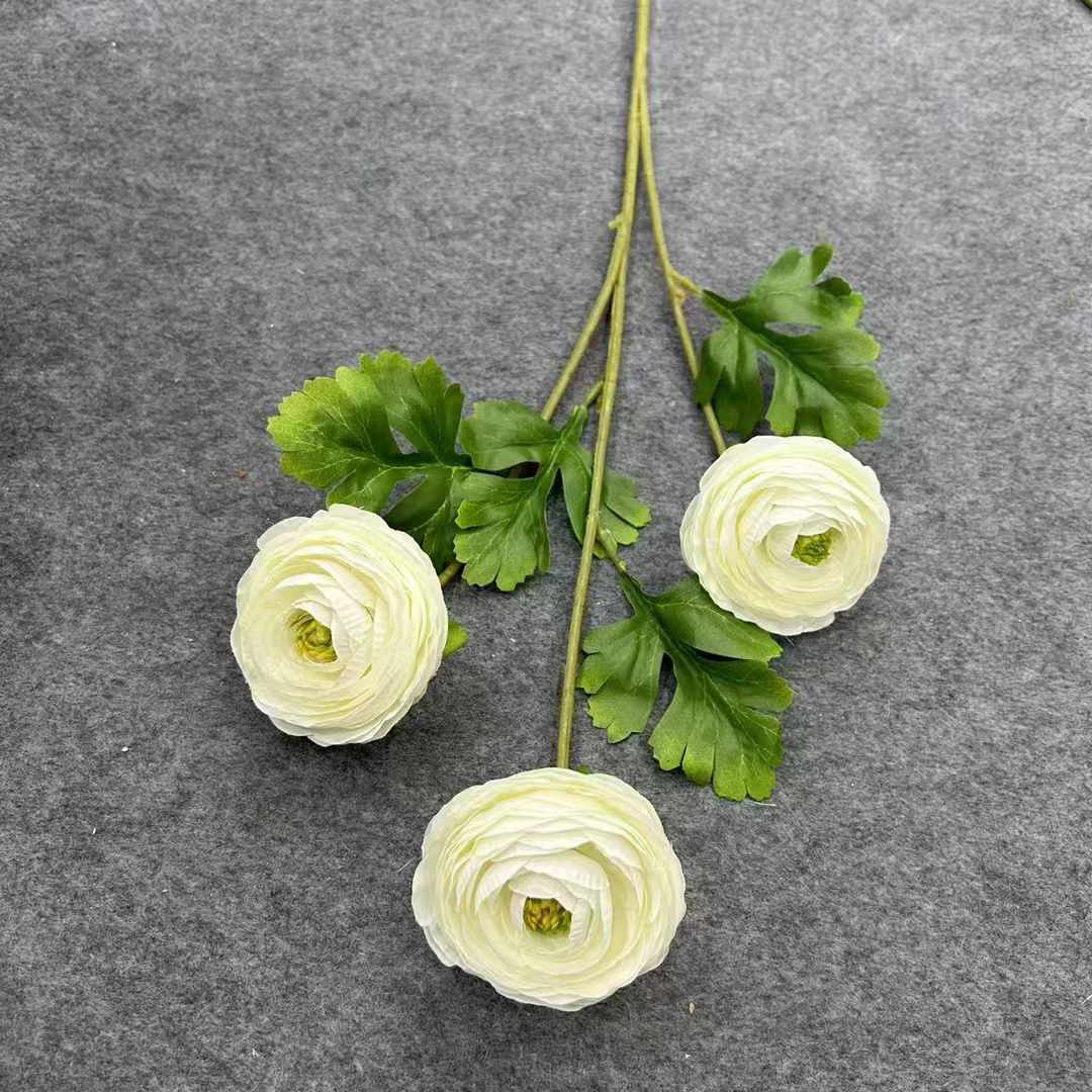 Ranunculus 6