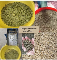Machine de Fabrication de Granulés de Bois pour Aliments Animaux, Volaille et Poisson