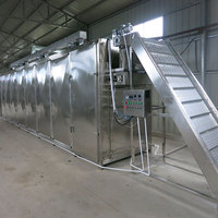 China Fabriek Tekfood Fruit Drogen Productielijn Continue Hetelucht Droger Machine Chili Hetelucht Mesh Band Droogmachine