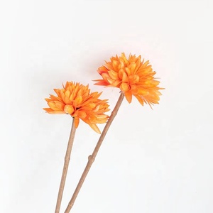 Palla di Magnolia fatta a mano secca fiori artificiali all'ingrosso per composizione floreale - Product Image 6